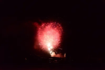 DSC_3442 (Large).JPG